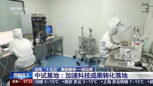 一線見聞丨順藤摸瓜 深圳科創(chuàng)青藤體系，如何賦能硬科技轉(zhuǎn)化？